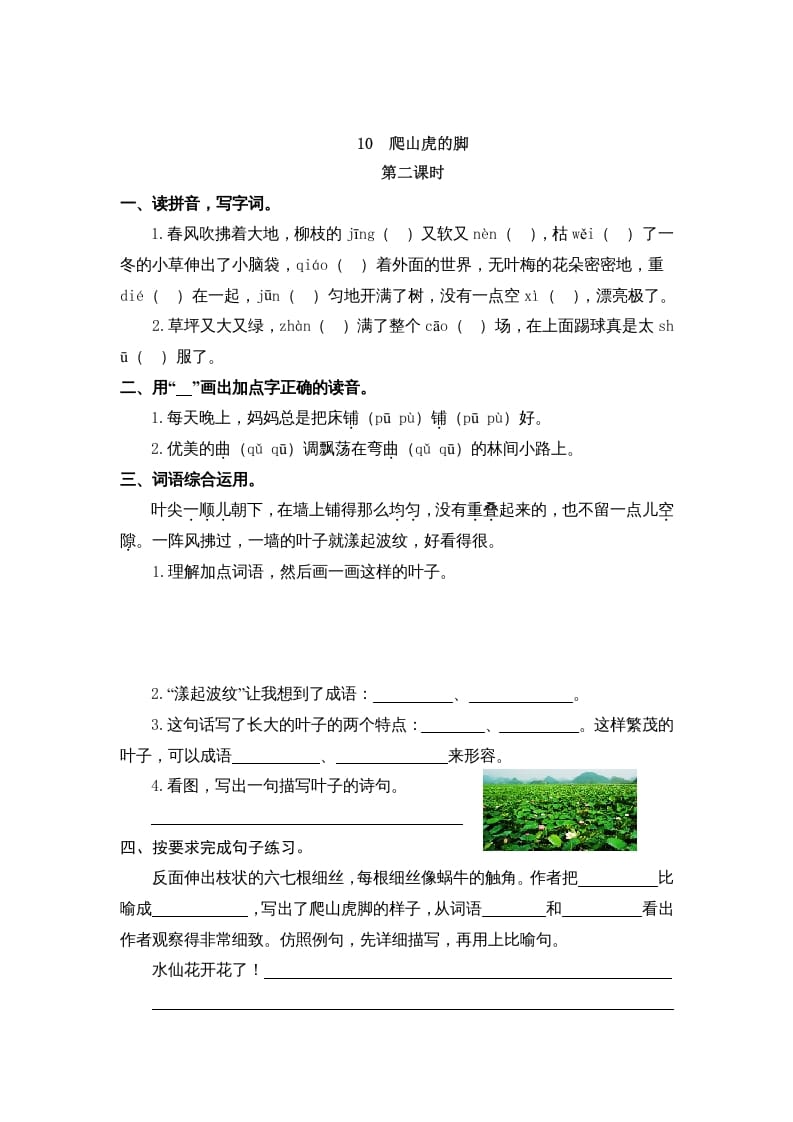 图片[3]-四年级语文上册10爬山虎的脚-学霸吧