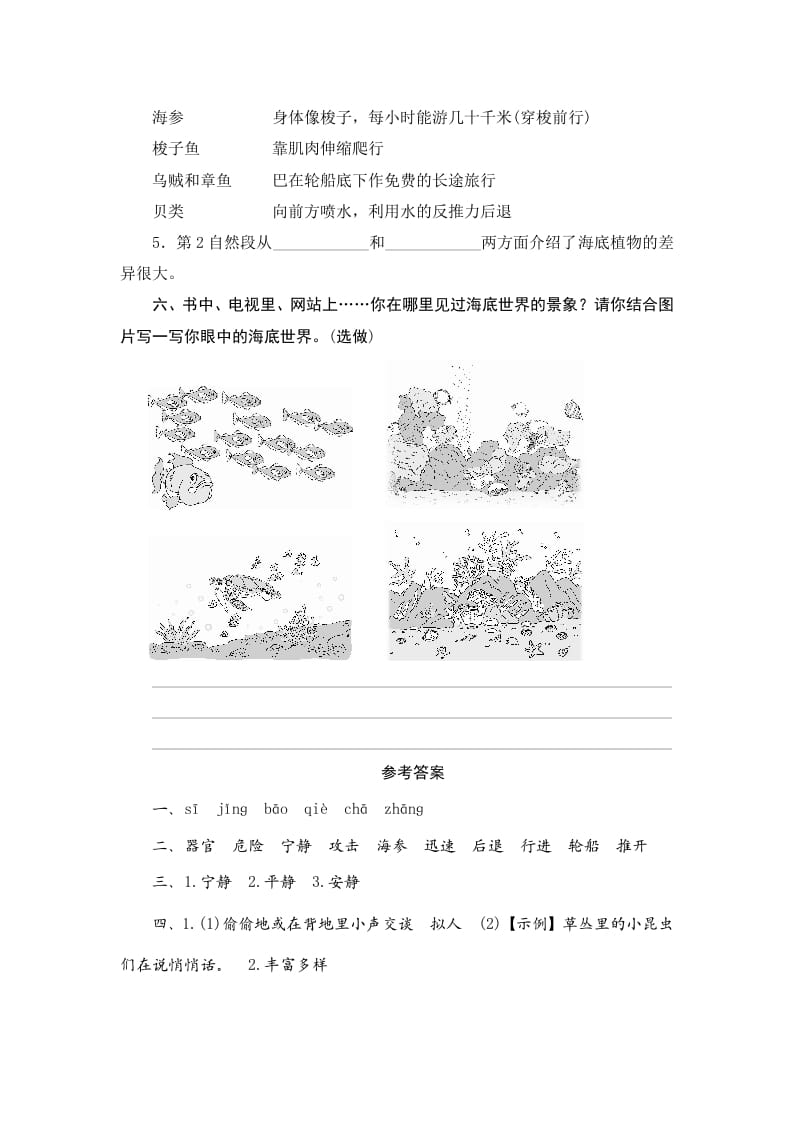 图片[3]-三年级语文下册23海底世界-学霸吧
