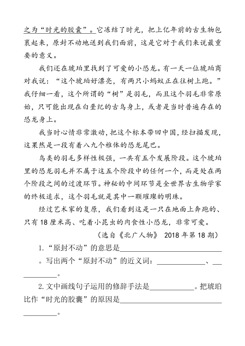 图片[3]-四年级语文下册类文阅读-5琥珀-学霸吧