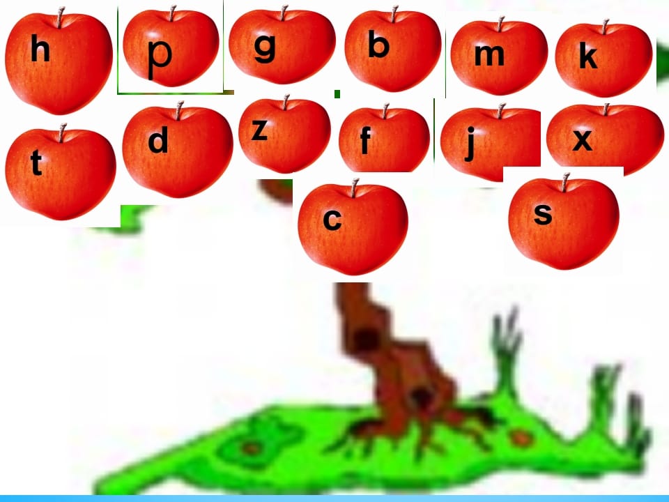 一年级语文上册8.zhchshr课件3（部编版）-学霸吧