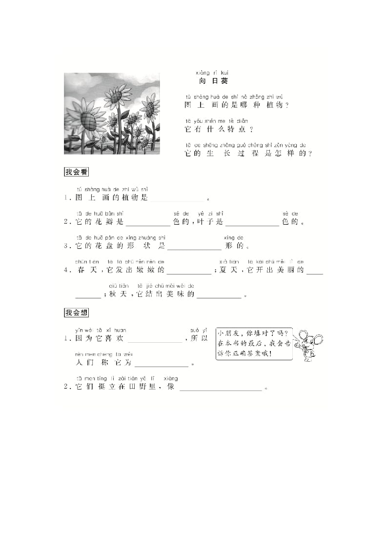 图片[2]-二年级语文上册（跟我学写话）写物（5篇）（部编）-学霸吧