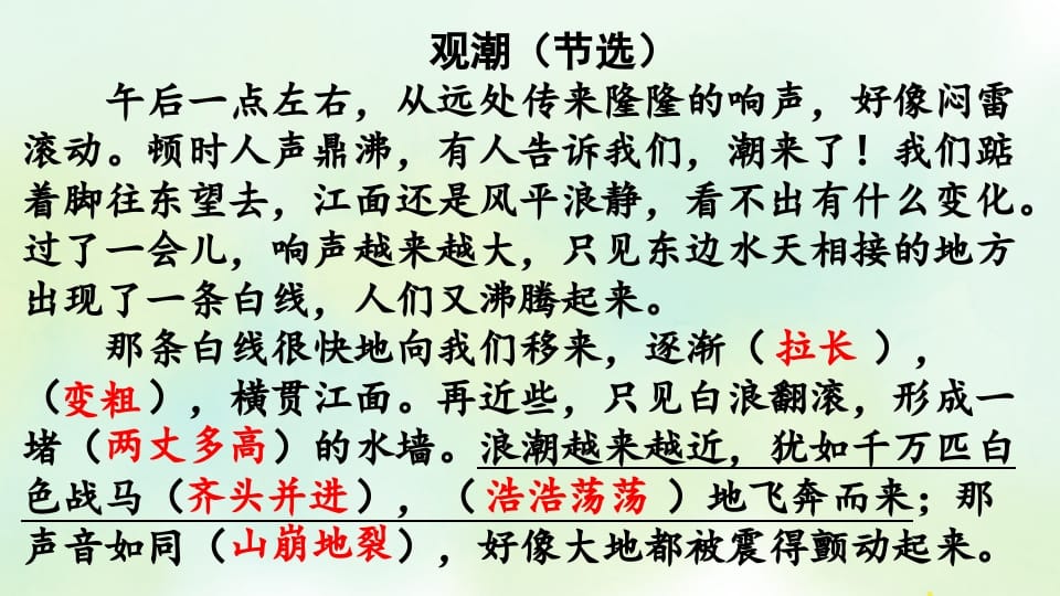 图片[3]-四年级语文上册专项7阅读指导复习课件-学霸吧